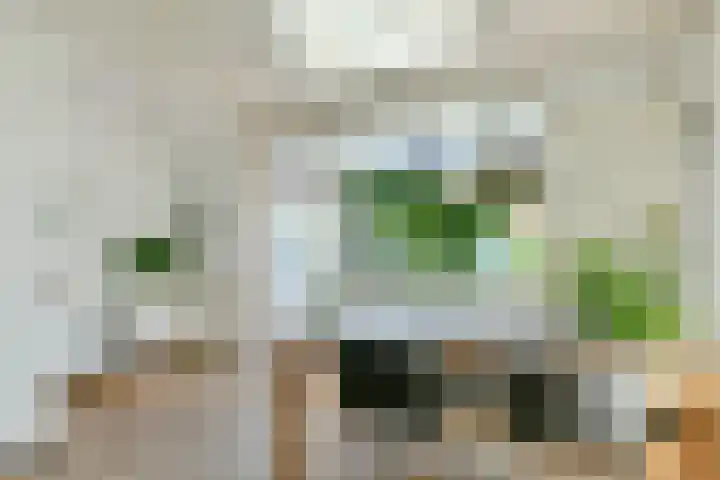 Nieuwe Karselaan 47 Amstelveen thumbnail 7