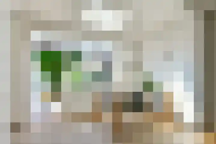 Nieuwe Karselaan 47 Amstelveen thumbnail 8