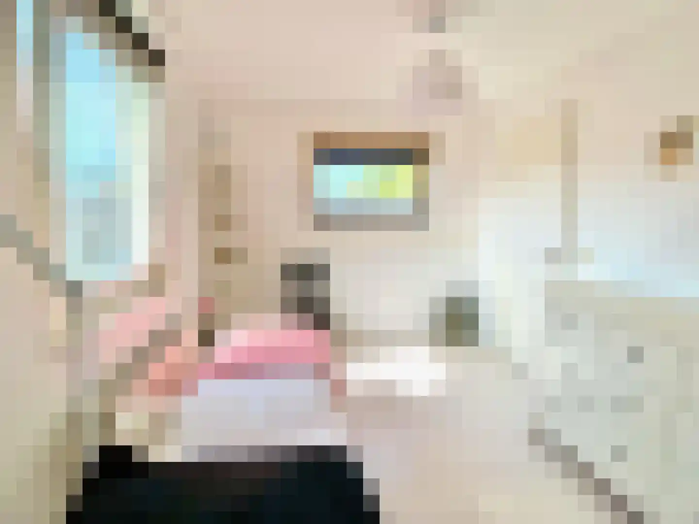 Nieuwe Karselaan 60 Amstelveen thumbnail 44