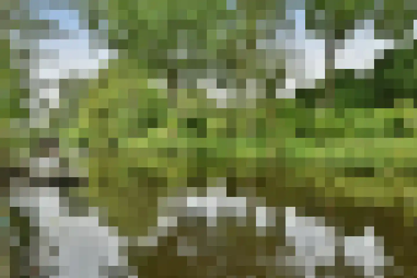 Nieuwe Karselaan 60 Amstelveen thumbnail 46