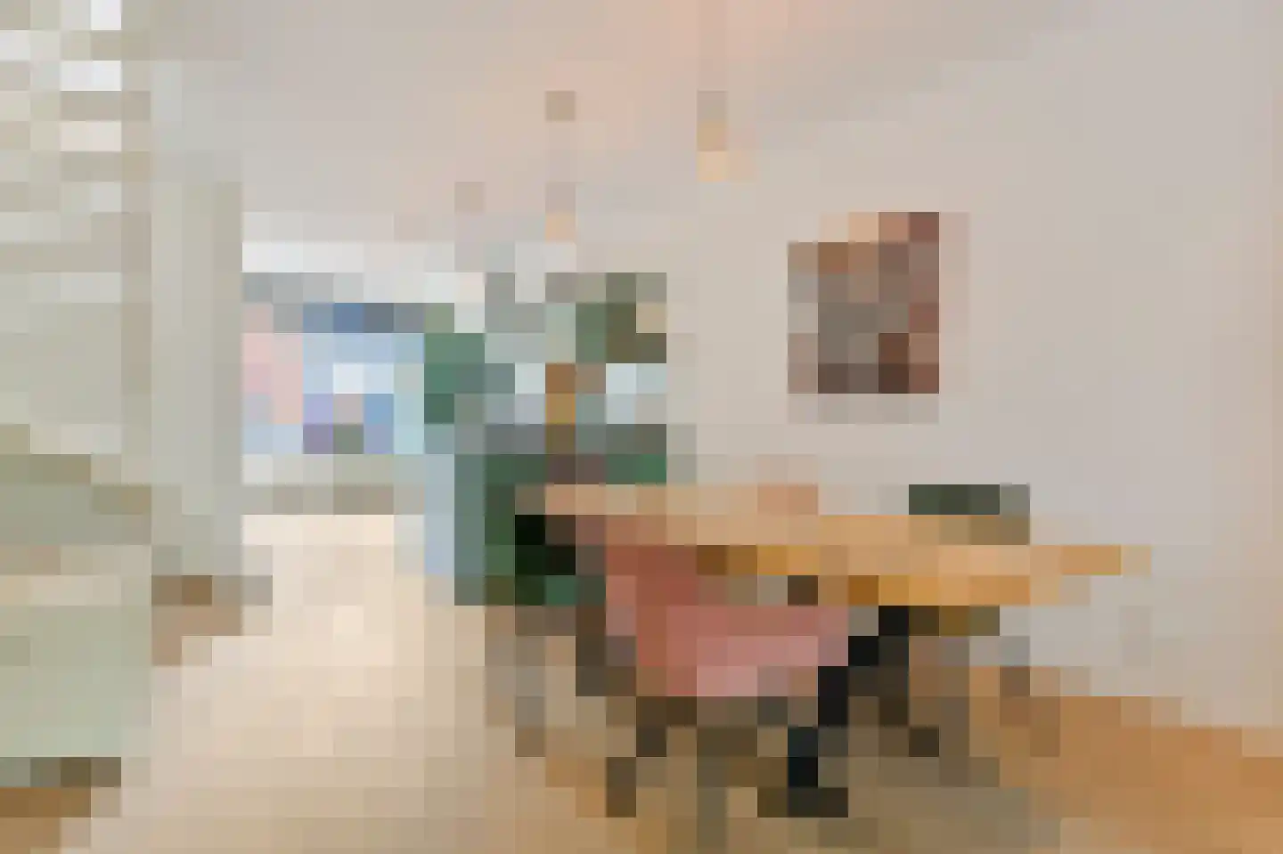 Nieuwe Karselaan 60 Amstelveen thumbnail 8