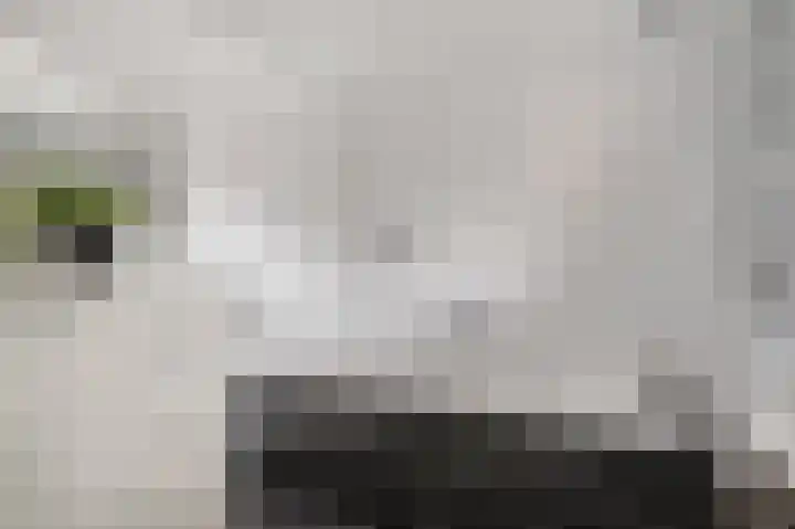 Nieuwe Kazernelaan 21 Ede thumbnail 14