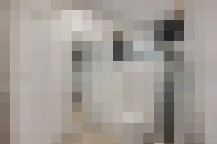 Nieuwe Kazernelaan 21 Ede thumbnail 20