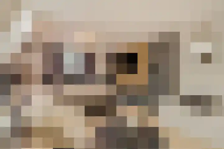 Nieuwe Kazernelaan 21 Ede thumbnail 22