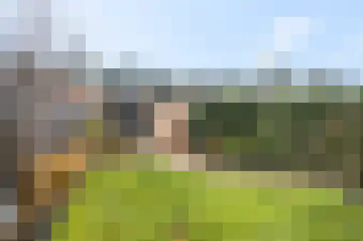 Nieuwe Kazernelaan 21 Ede thumbnail 36