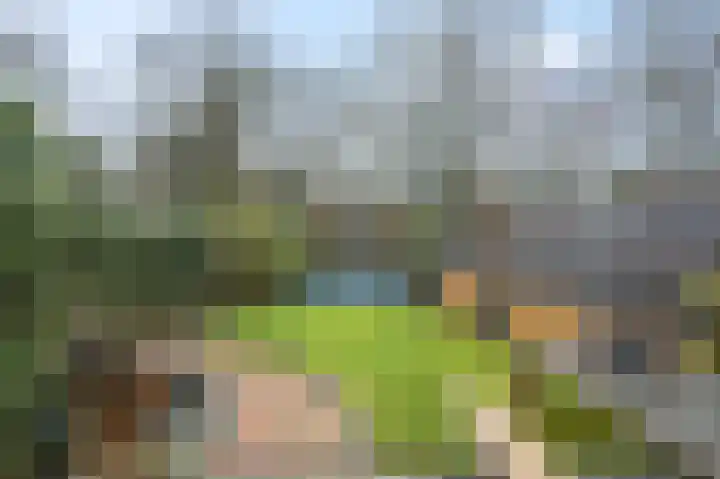 Nieuwe Kazernelaan 21 Ede thumbnail 37