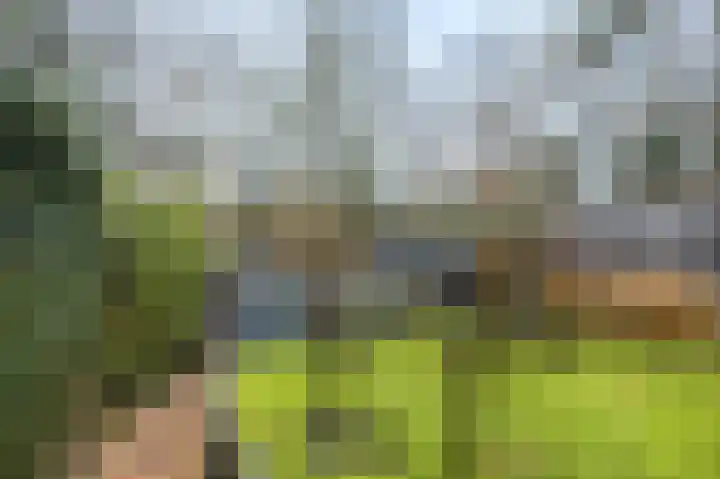 Nieuwe Kazernelaan 21 Ede thumbnail 38