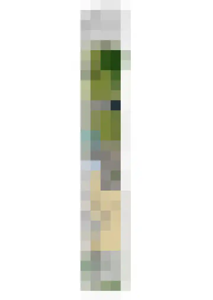 Nieuwe Kazernelaan 21 Ede thumbnail 56