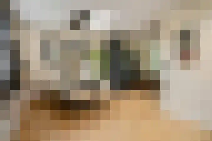 Nieuwe Kazernelaan 21 Ede thumbnail 8