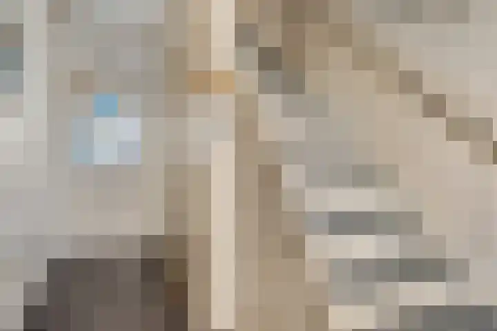 Nieuwe Kazernelaan 51 Ede thumbnail 19