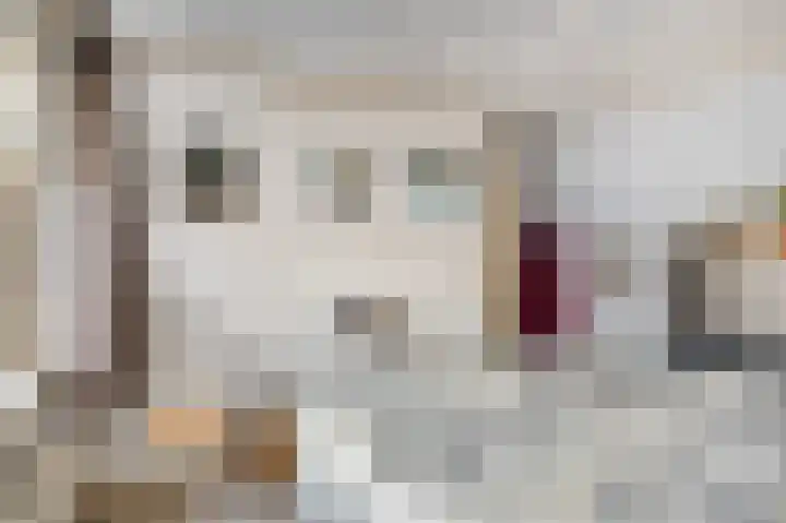 Nieuwe Kazernelaan 51 Ede thumbnail 25