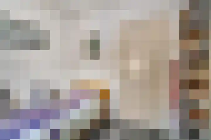 Nieuwe Kazernelaan 51 Ede thumbnail 27