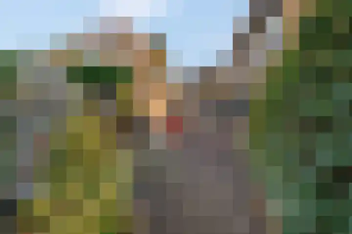 Nieuwe Kazernelaan 51 Ede thumbnail 35