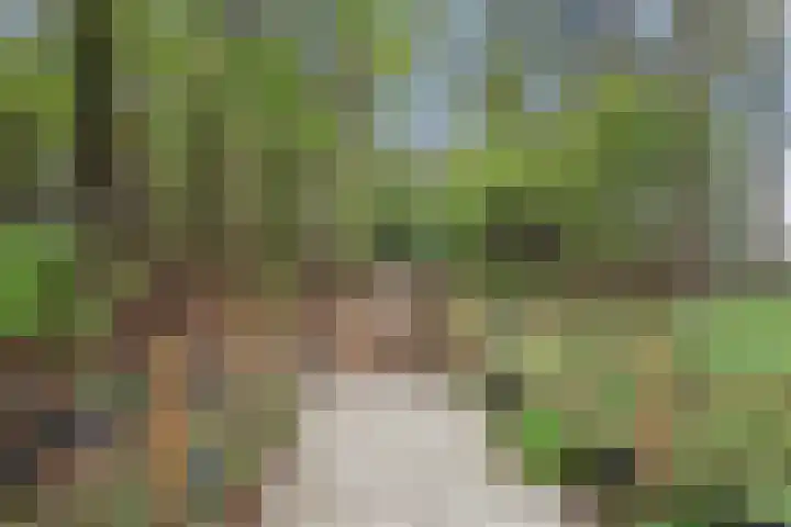 Nieuwe Kazernelaan 51 Ede thumbnail 40