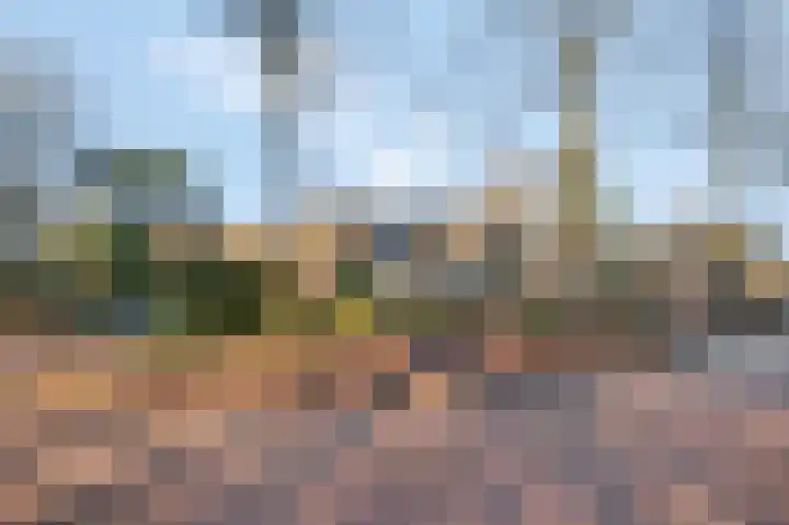 Nieuwe Kazernelaan 51 Ede thumbnail 5