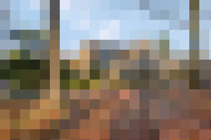 Nieuwe Kazernelaan 51 Ede thumbnail 6