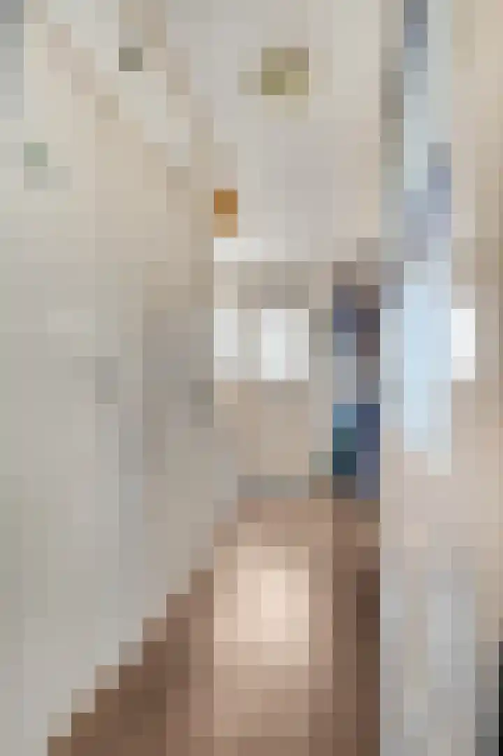 Nieuwe Kazernelaan 51 Ede thumbnail 7