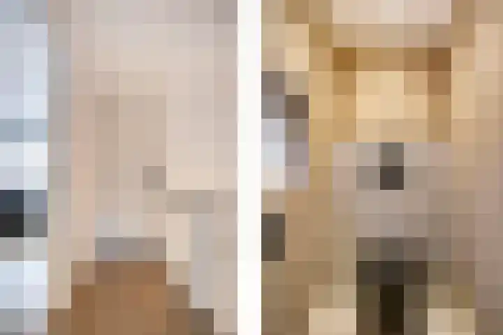 Nieuwe Kazernelaan 57 Ede thumbnail 14
