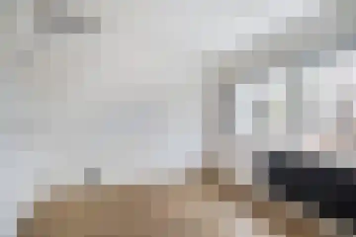 Nieuwe Kazernelaan 57 Ede thumbnail 18