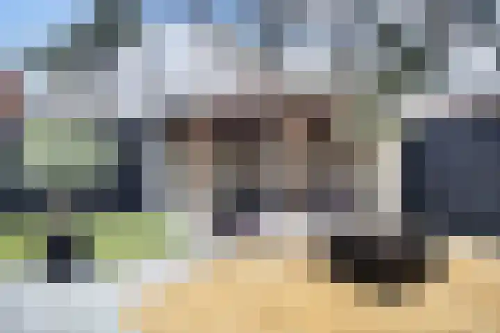 Nieuwe Kazernelaan 57 Ede thumbnail 31