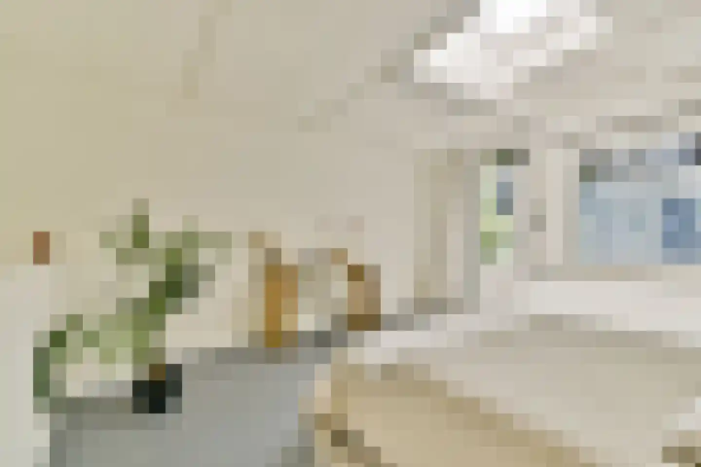 Nieuwe Keizersgracht 21 H Amsterdam thumbnail 19