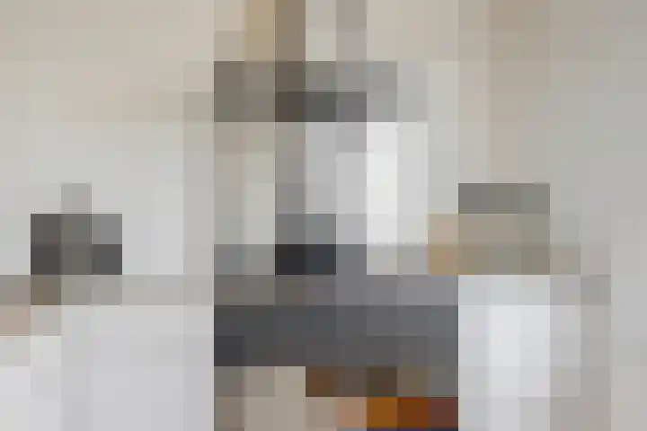 Nieuwe Keizersgracht 33 BS Utrecht thumbnail 15