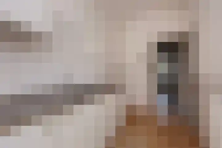 Nieuwe Keizersgracht 37 BS Utrecht thumbnail 10