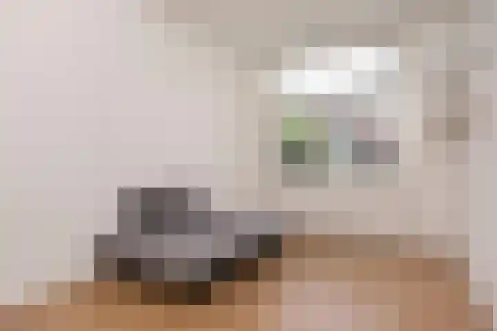 Nieuwe Keizersgracht 37 BS Utrecht thumbnail 7