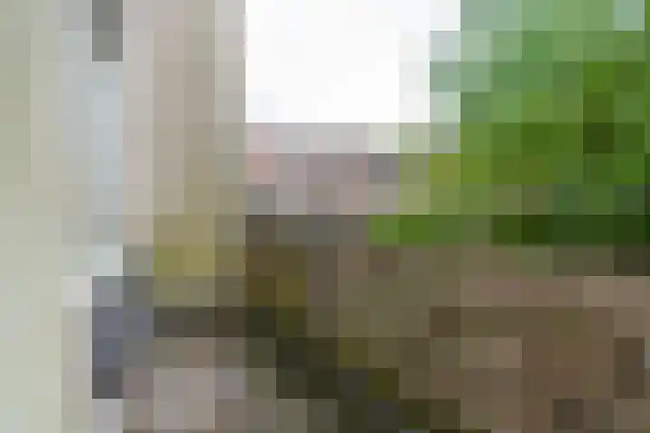 Nieuwe Keizersgracht 41 BS Utrecht thumbnail 16