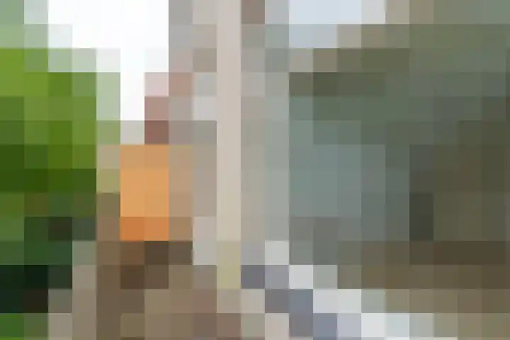 Nieuwe Keizersgracht 41 BS Utrecht thumbnail 17