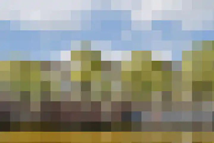 Nieuwe Keizersgracht 422 Amsterdam
