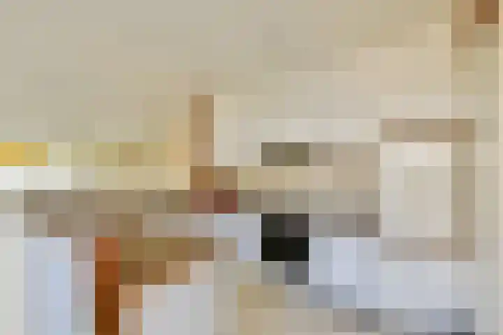 Nieuwe Keizersgracht 422 Amsterdam thumbnail 9