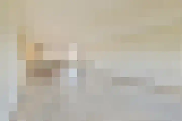 Nieuwe Keizersgracht 424 Amsterdam thumbnail 7