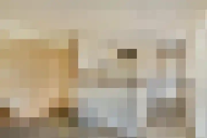 Nieuwe Keizersgracht 424 Amsterdam thumbnail 8