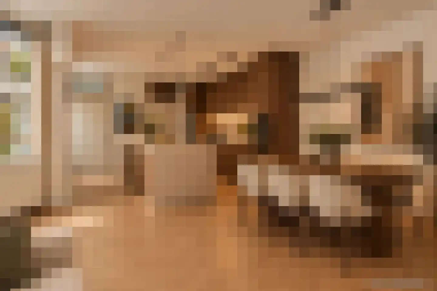 Nieuwe Keizersgracht 474 Amsterdam thumbnail 13