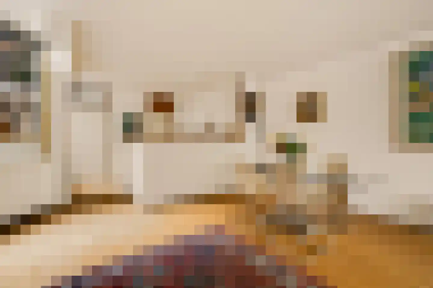 Nieuwe Keizersgracht 474 Amsterdam thumbnail 14