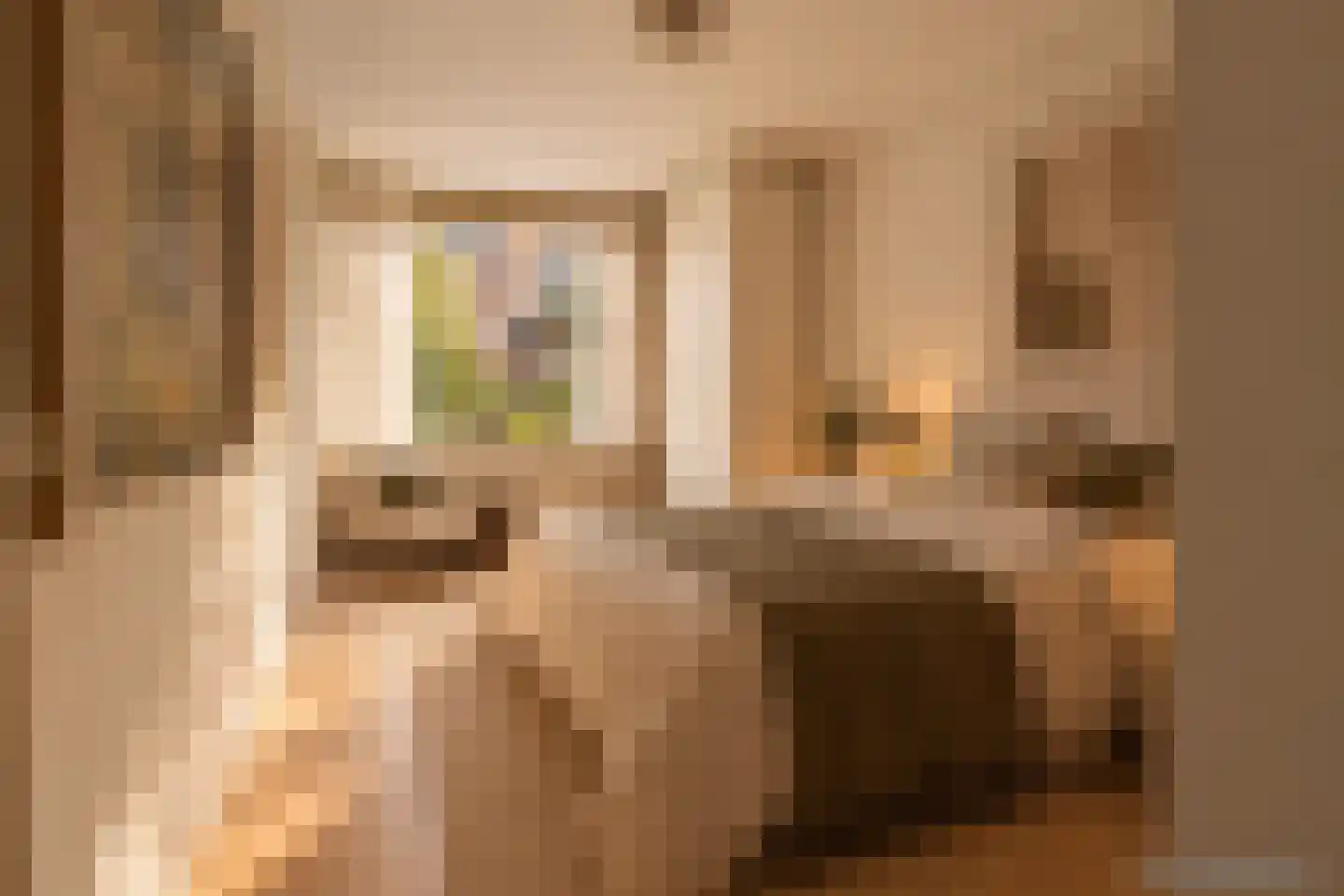 Nieuwe Keizersgracht 474 Amsterdam thumbnail 20