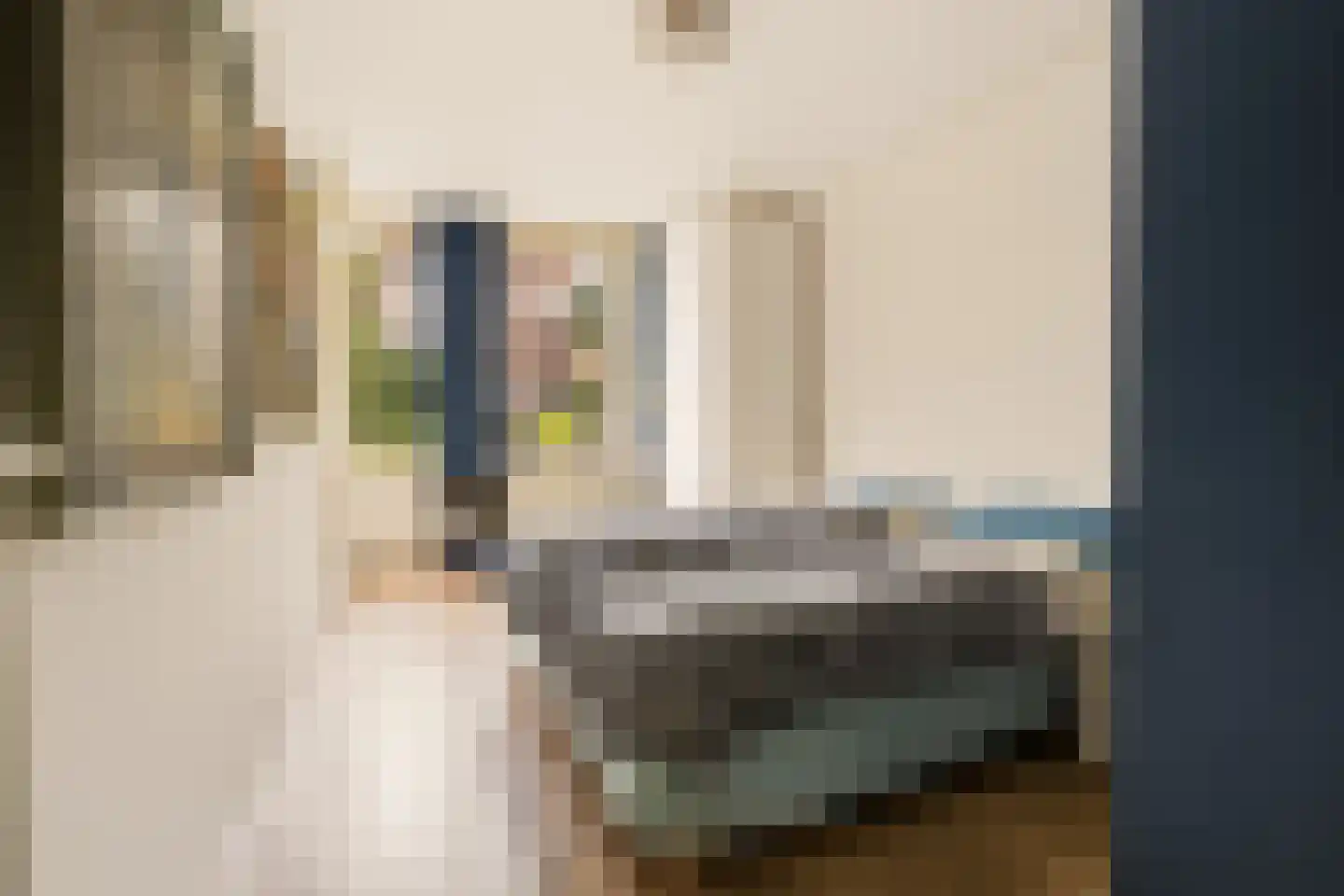 Nieuwe Keizersgracht 474 Amsterdam thumbnail 21
