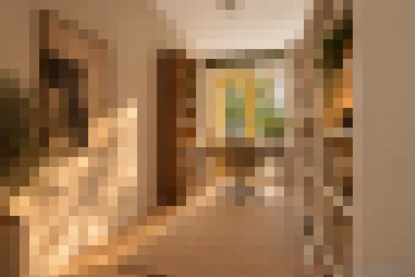 Nieuwe Keizersgracht 474 Amsterdam thumbnail 24