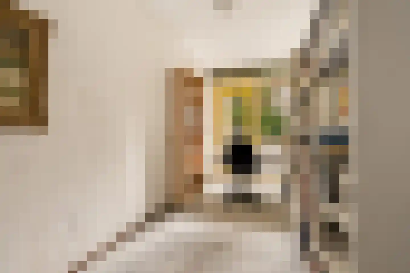 Nieuwe Keizersgracht 474 Amsterdam thumbnail 25