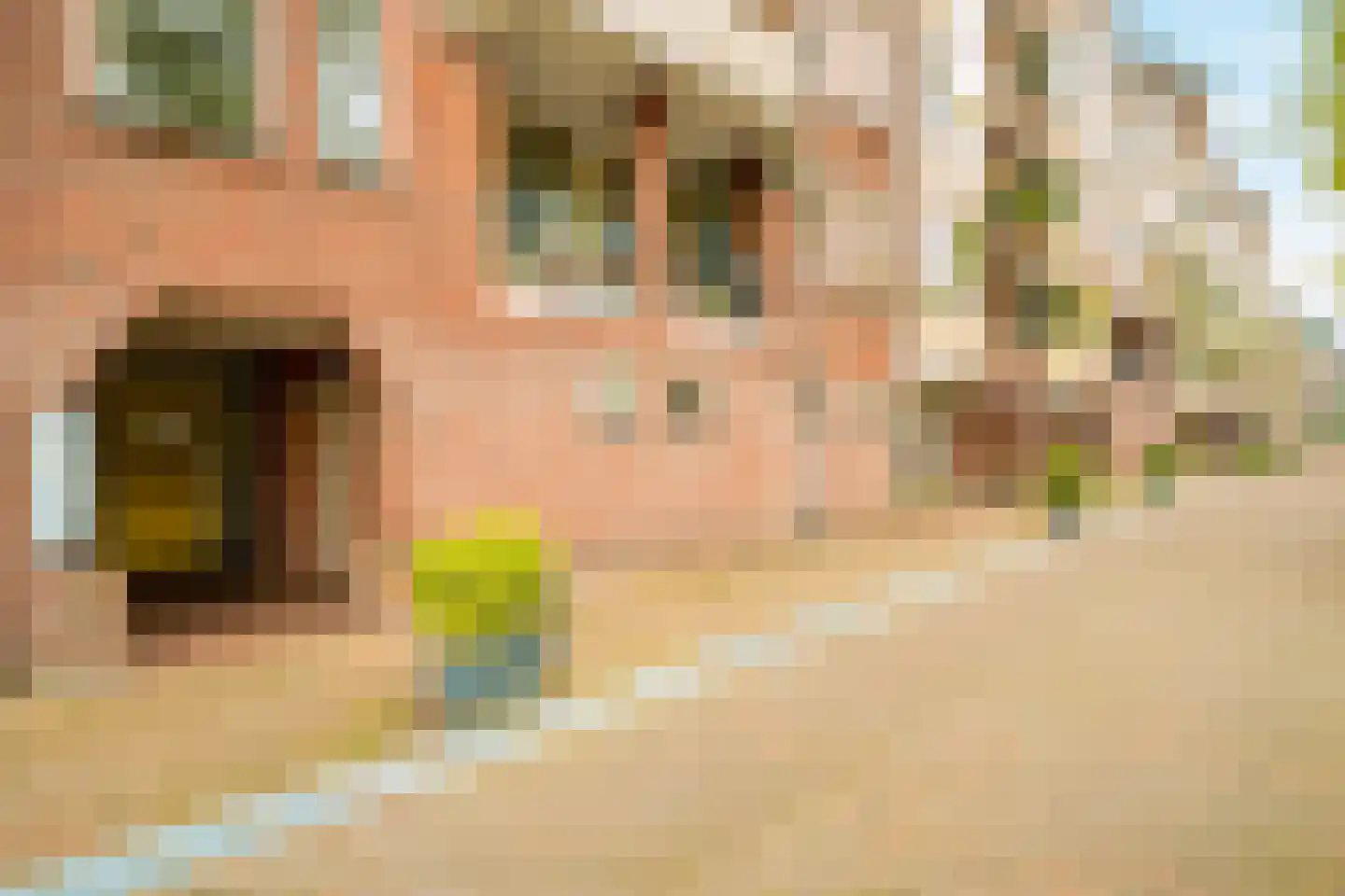 Nieuwe Keizersgracht 474 Amsterdam thumbnail 5