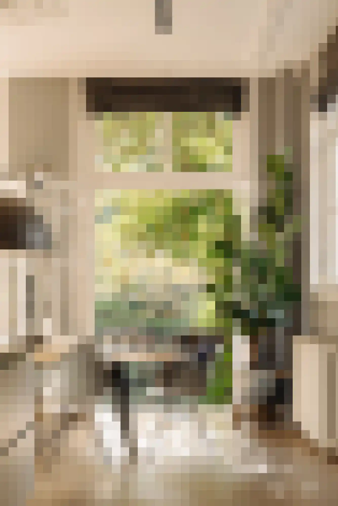 Nieuwe Keizersgracht 54 Amsterdam thumbnail 13