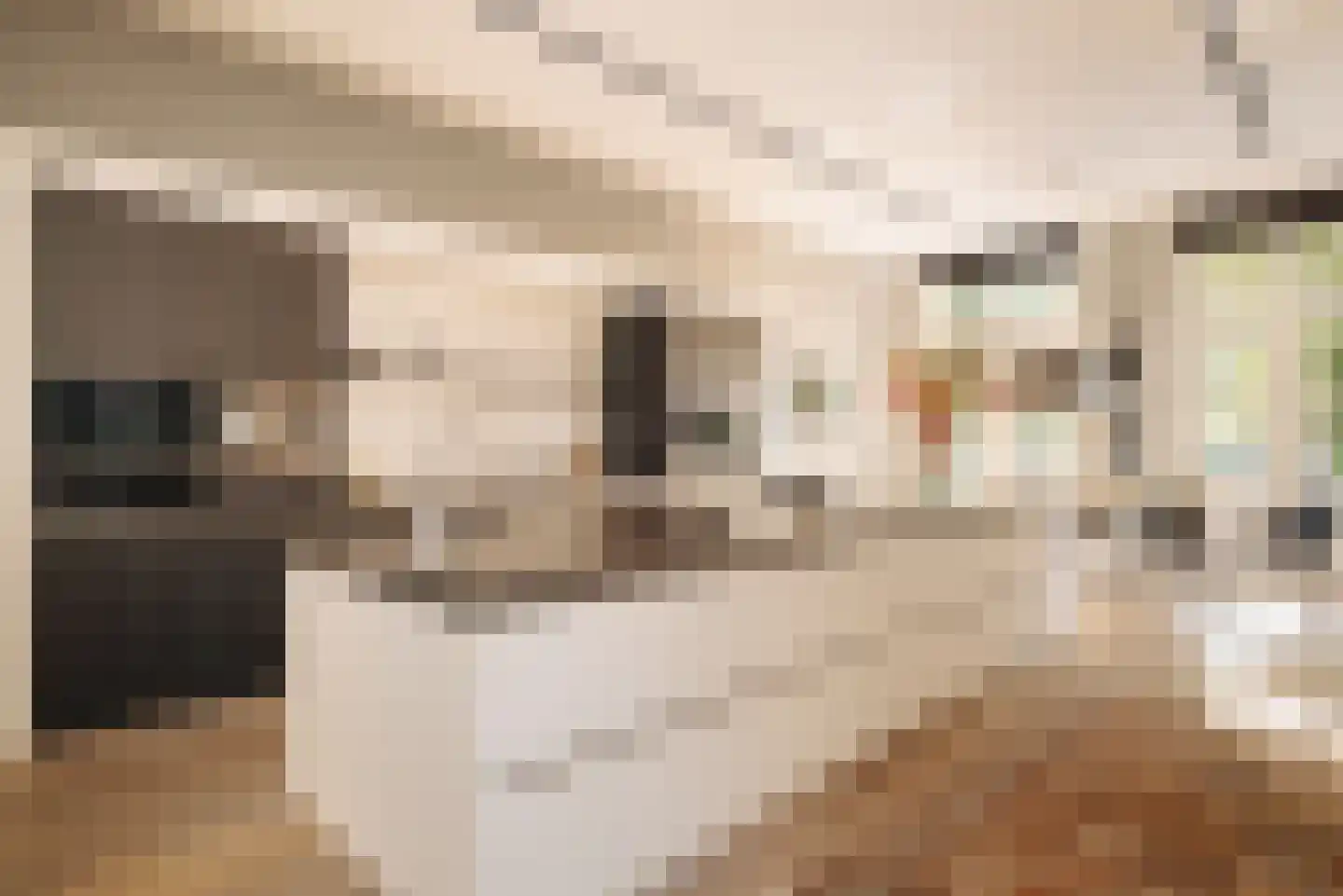 Nieuwe Keizersgracht 54 Amsterdam thumbnail 14