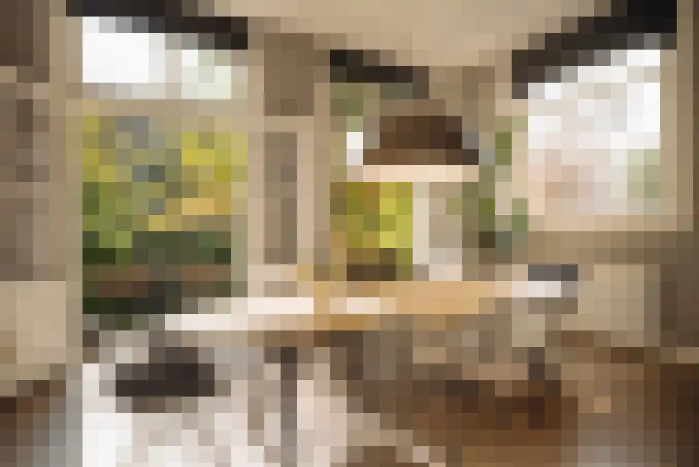 Nieuwe Keizersgracht 54 Amsterdam thumbnail 18