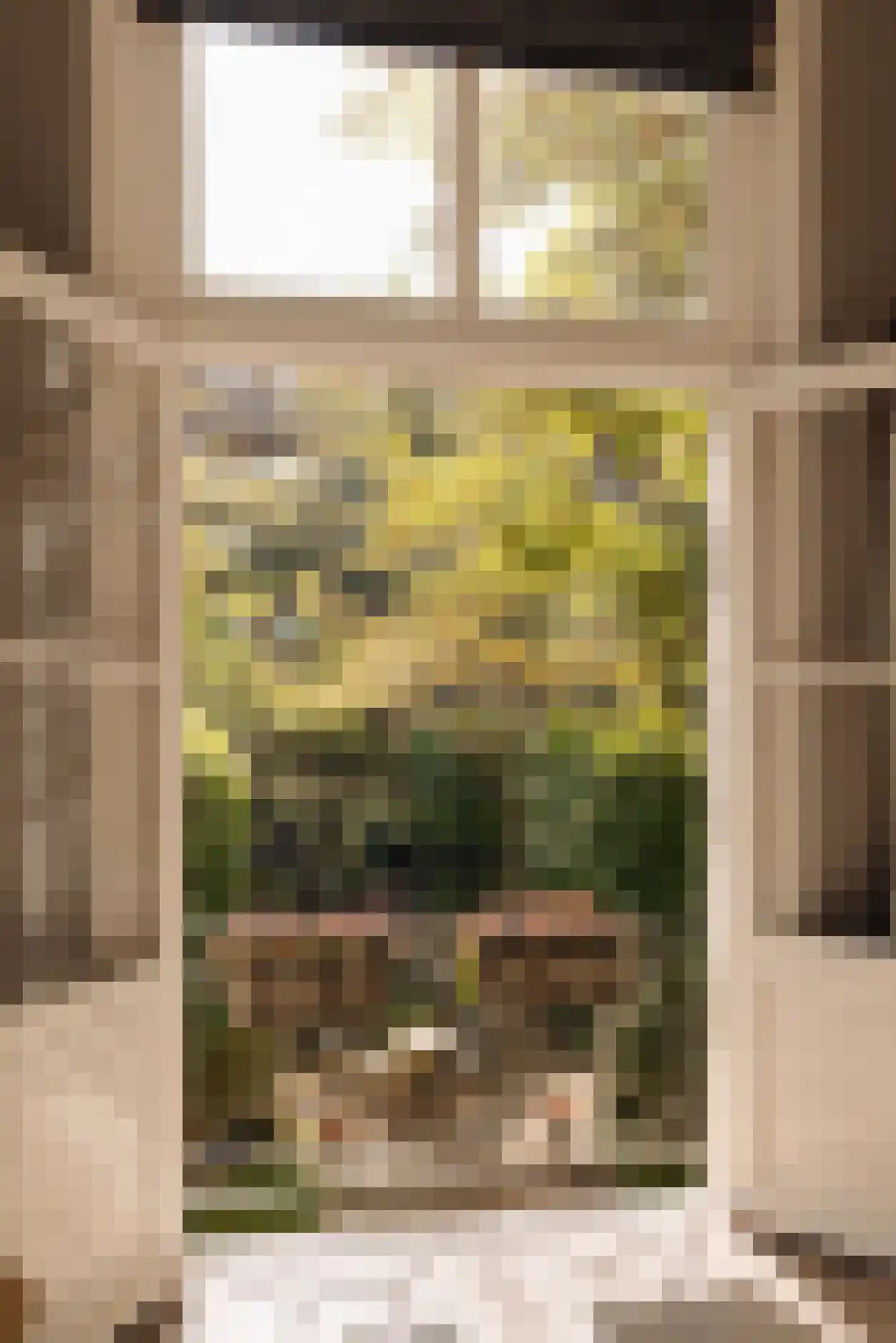 Nieuwe Keizersgracht 54 Amsterdam thumbnail 19