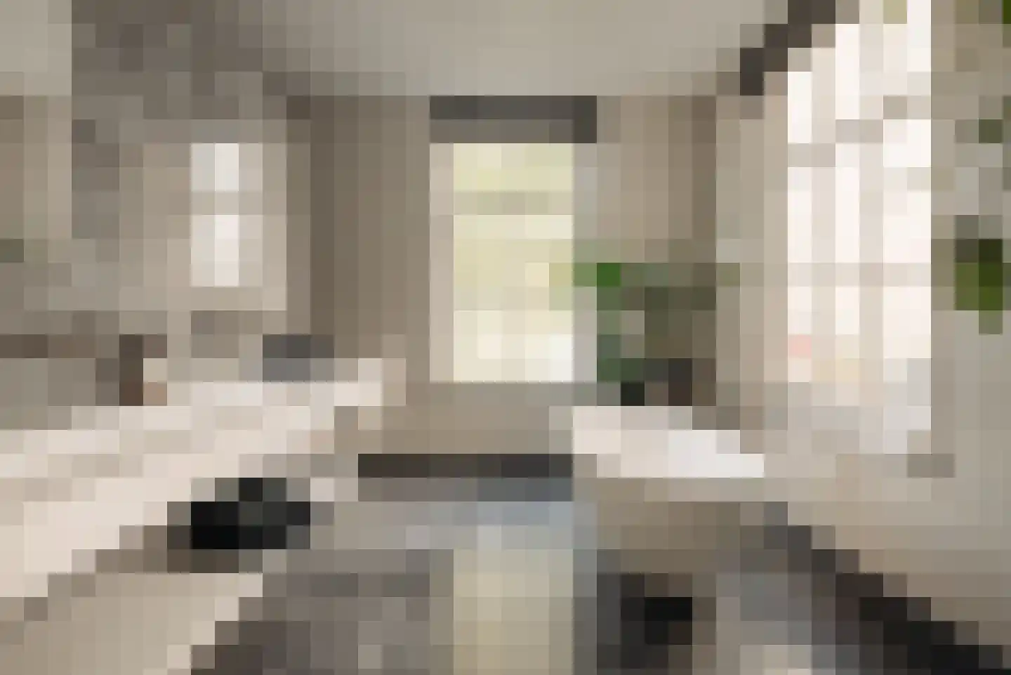 Nieuwe Keizersgracht 54 Amsterdam thumbnail 29