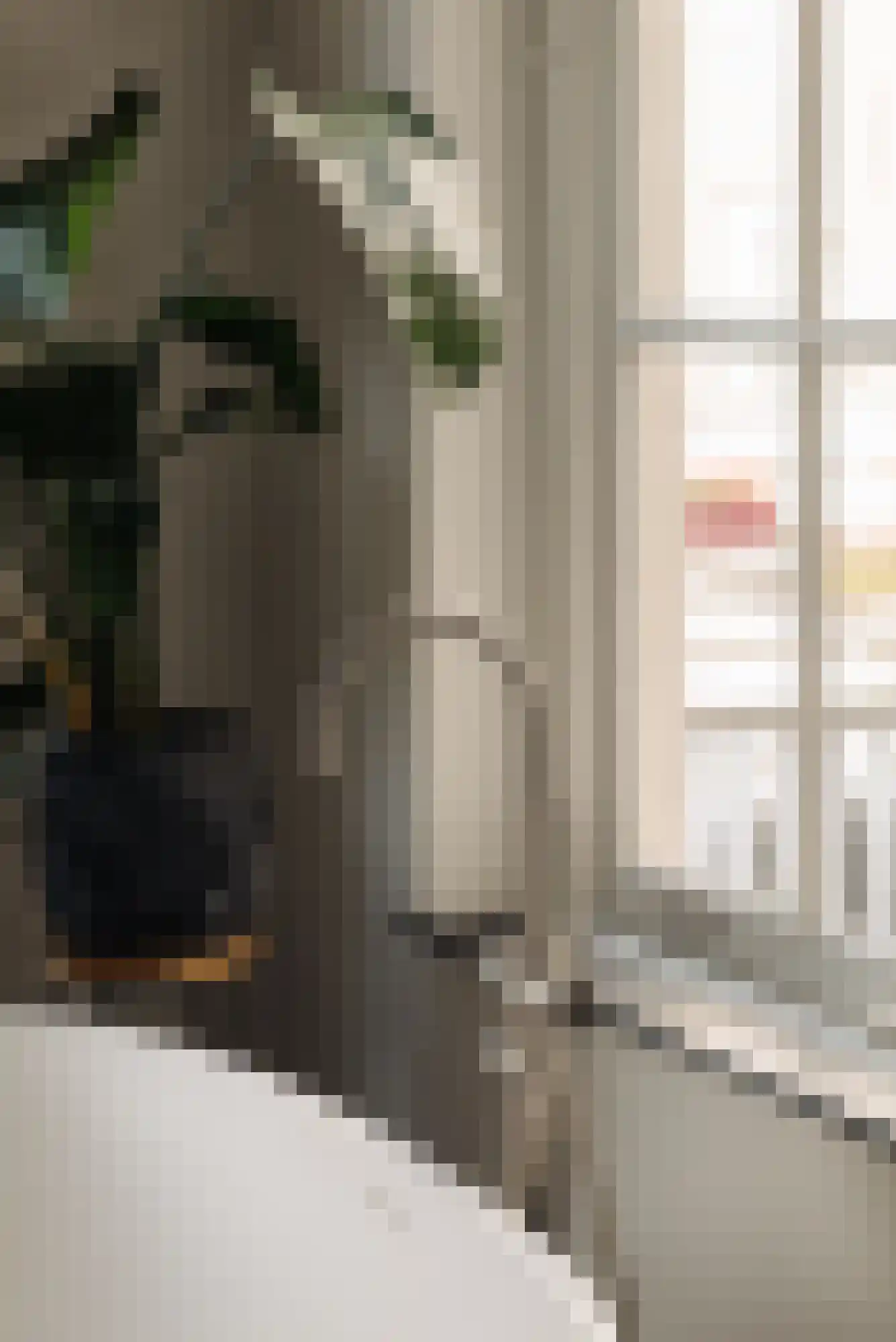 Nieuwe Keizersgracht 54 Amsterdam thumbnail 30