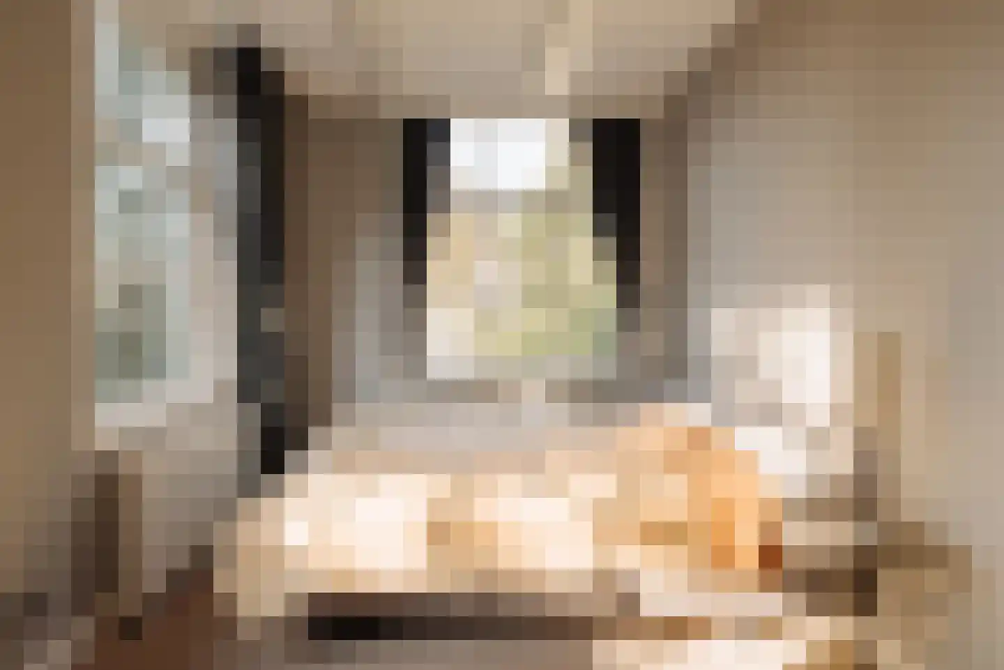 Nieuwe Keizersgracht 54 Amsterdam thumbnail 32