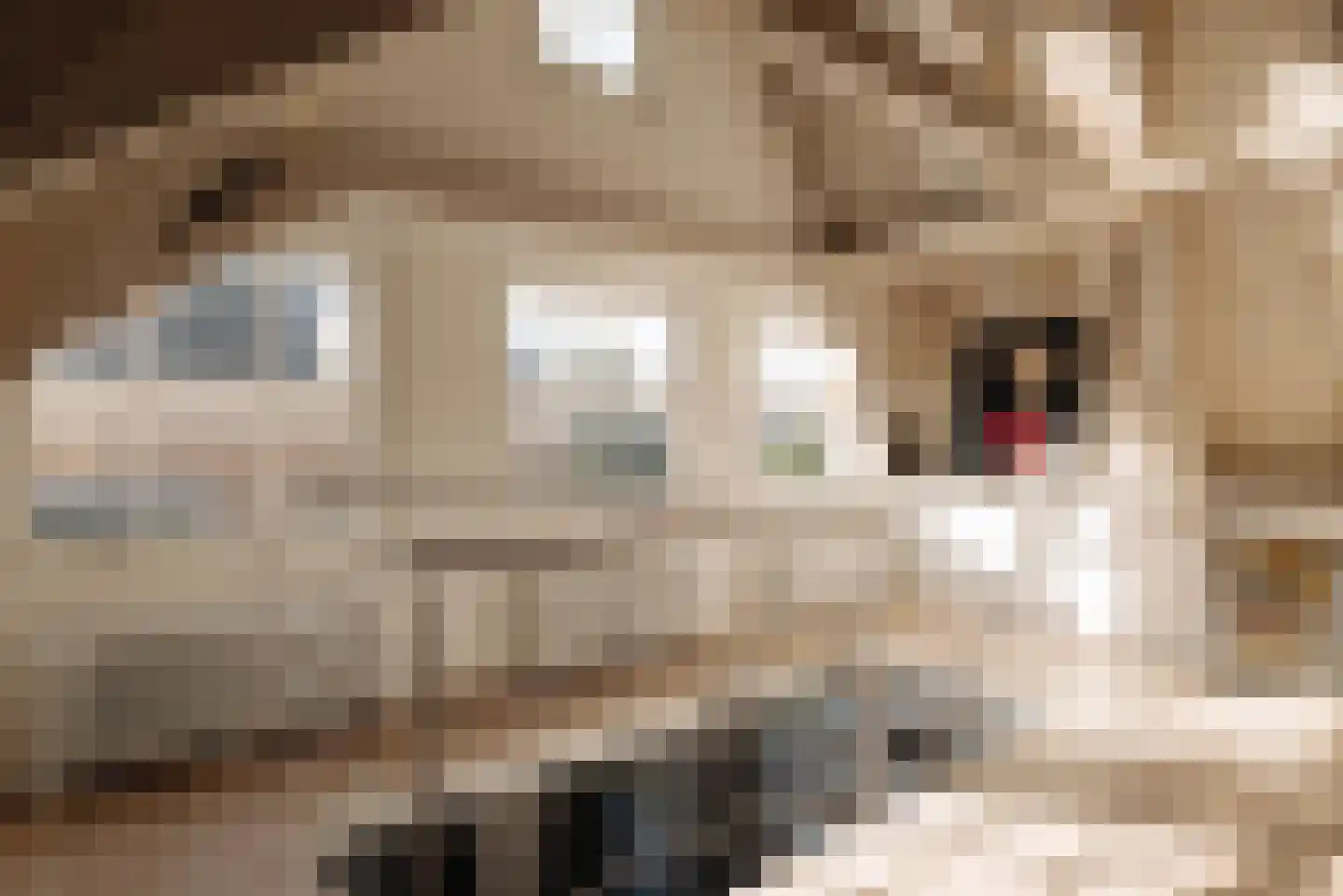 Nieuwe Keizersgracht 54 Amsterdam thumbnail 35
