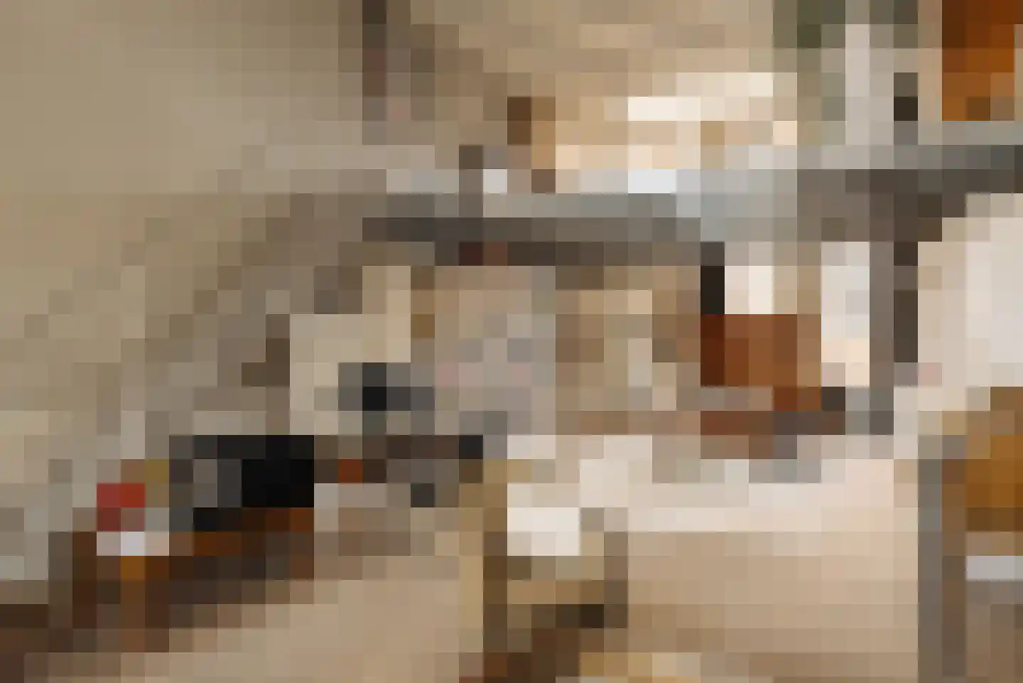 Nieuwe Keizersgracht 54 Amsterdam thumbnail 4